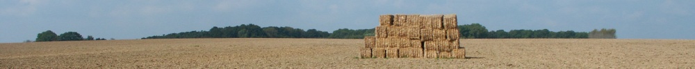 Oogst 02.jpg